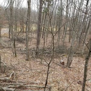 Meet your Posher, Ricky